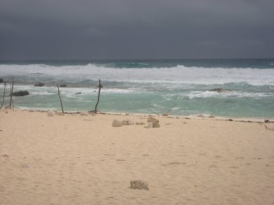 189.jpg