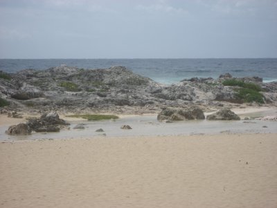 191.jpg