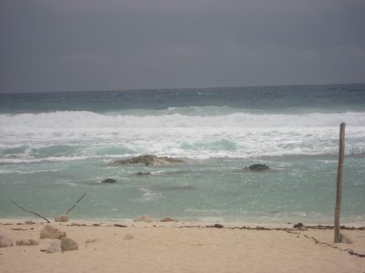 192.jpg