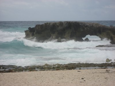 193.jpg
