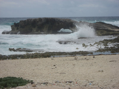 196.jpg