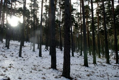 Valsain-Dic-2008-027.jpg