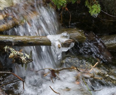 Valsain-Dic-2008-148.jpg