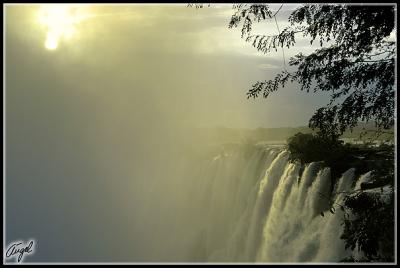 Zambia-0105-4w.jpg