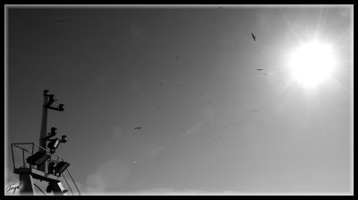 g3/66/262466/3/84223161.nMxScNaB.jpg