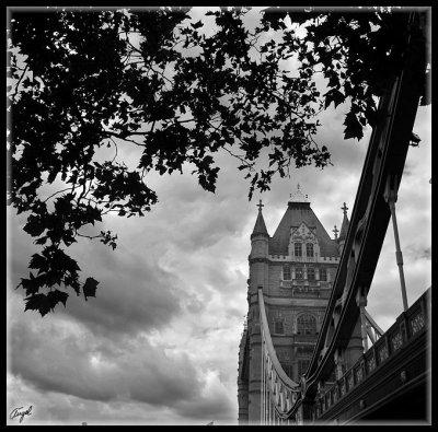 Londres-2007-527-papel.jpg