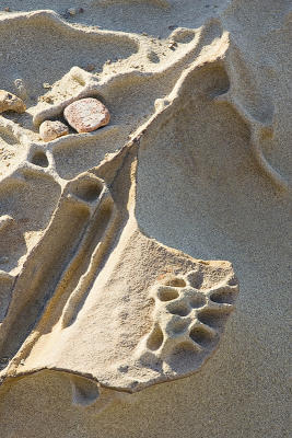 Point Lobos