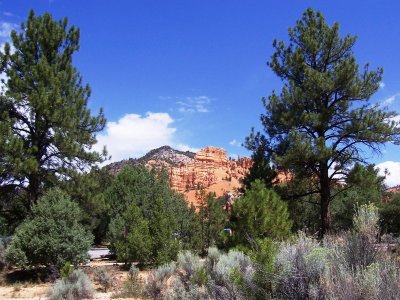 Driving into Bryce Canyon