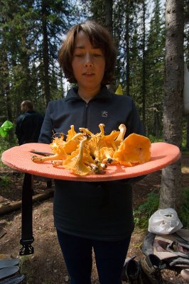 Day 6. Chanterelle mushrooms