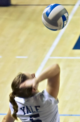 Yale Women's Volleyball 2007