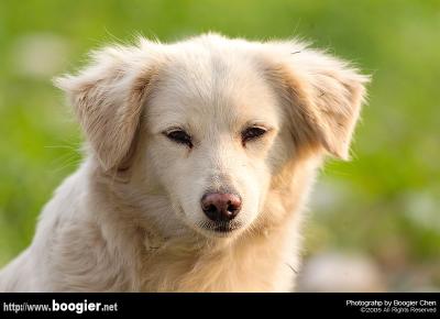 g3/66/374766/3/53007466.nameless11350.jpg