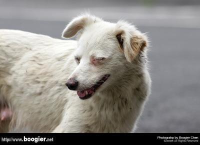 g3/66/374766/3/53044642.nameless11617.jpg