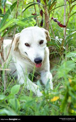 g3/66/374766/3/53536530.nameless12611.jpg