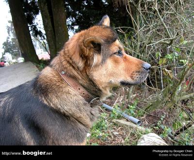 g3/66/374766/3/53878128.nameless1672.jpg