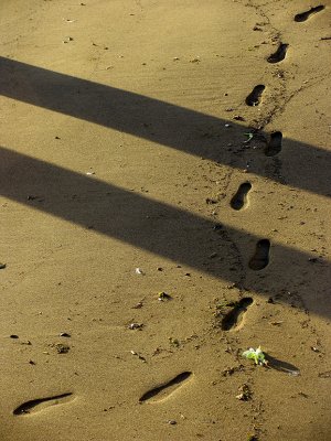 the path