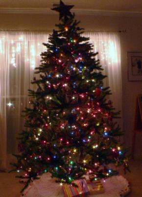 the Christmas tree