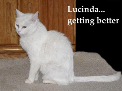 Lucinda gets better