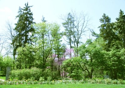 Springtime at FairLane 2008