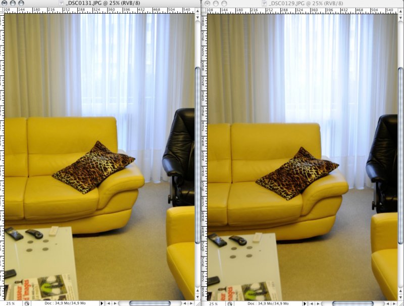 d-lighting actif d300.jpg