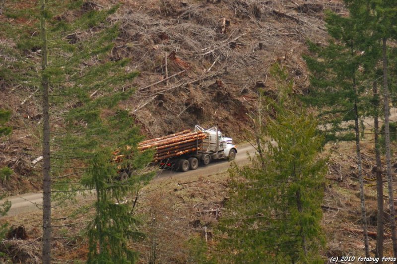 Trucking downhill