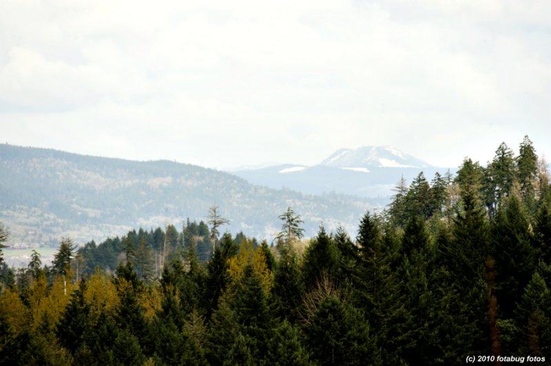 D3-031310_281.JPG