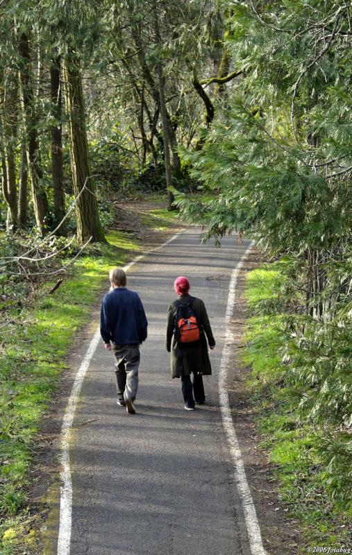 Walking the path