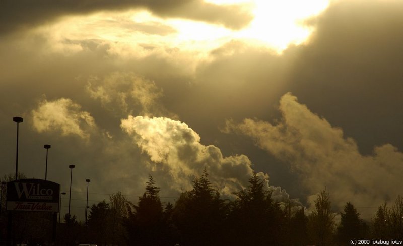D50-2008-03-26_035.jpg