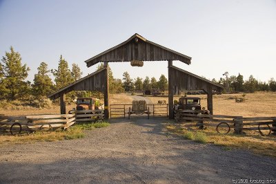 D3-071908-134.jpg