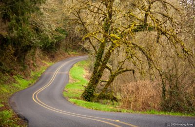 Sharp Curves Ahead