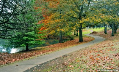 A Pleasant Path