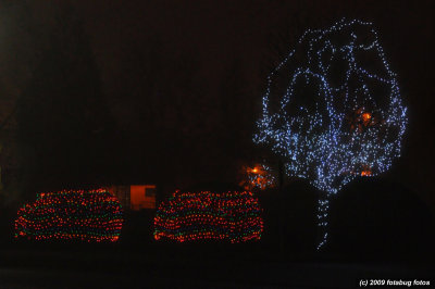 Tree Decorations