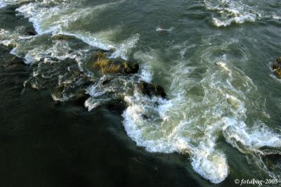 Willamette River from the bridge