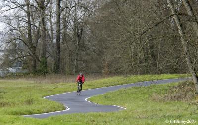 Biker in curves