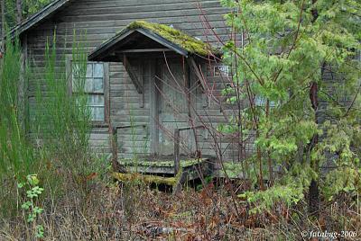 Deserted cabin