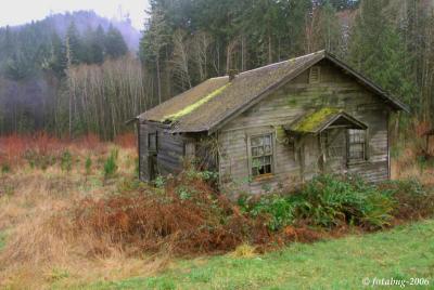Another deserted cabin