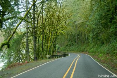 Along Deerhorn Road