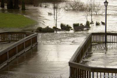 Alton Baker Park flooding