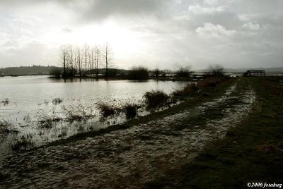 Roadway along wetlands