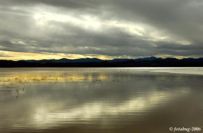 Morning light - Fern Ridge Lake