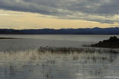 Evening colors on Fern Ridge Lake #5