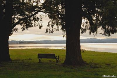 Park bench on Fern Ridge Lake