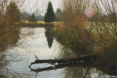 One of Alton Baker ponds