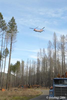 Heliocopter logging #2