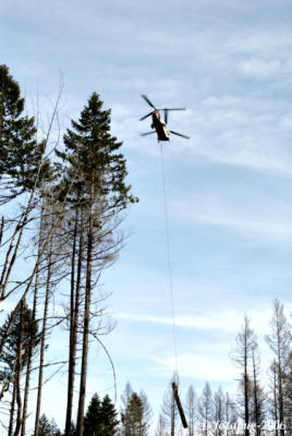 Heliocopter logging #3