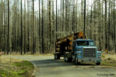 Loaded truck ready to pull out