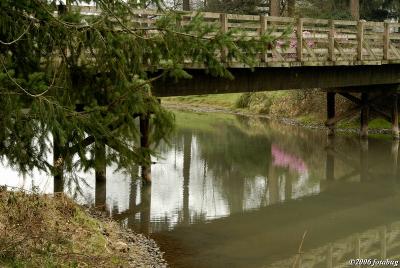 Bridge to Amphitheatre