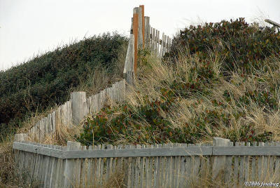 Beachfront fence