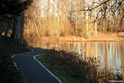 Path along pond