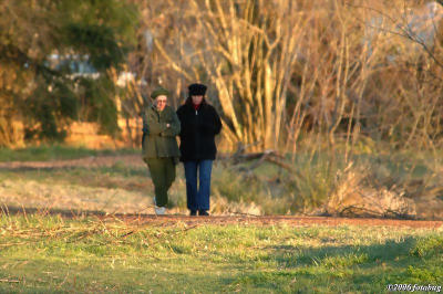 Walking in the park