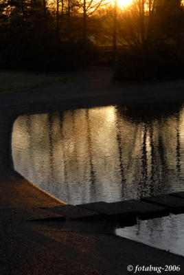 Morning light touches pond